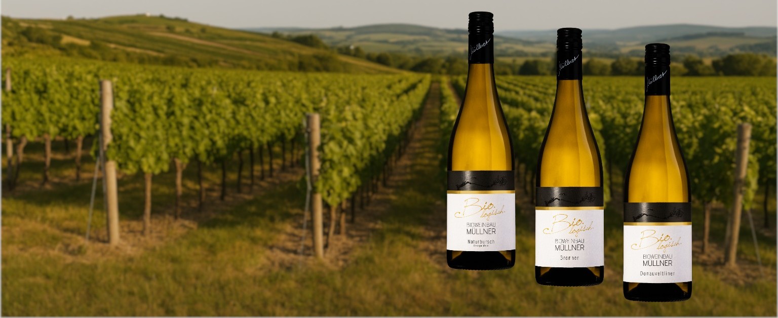 -15&#x25;&#x20;auf&#x20;alle&#x20;Orange-&#x20;und&#x20;PIWI&#x20;Weine