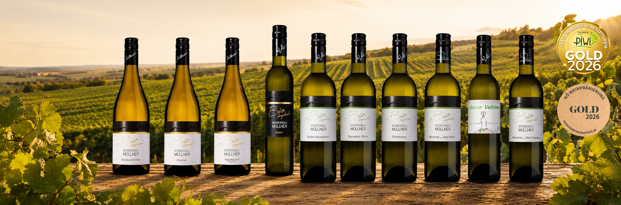 Goldene Vielfalt aus dem Weinviertel